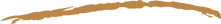 The StoneYard GRILL & TAVERN